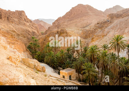 Berg Oase chebika an der Grenze der Sahara, Tunesien Stockfoto