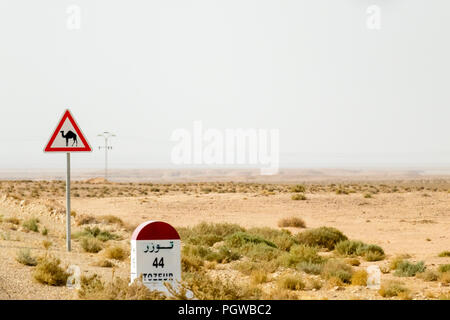 Kamel Crossing Road Sign in Tunesien, Afrika Stockfoto