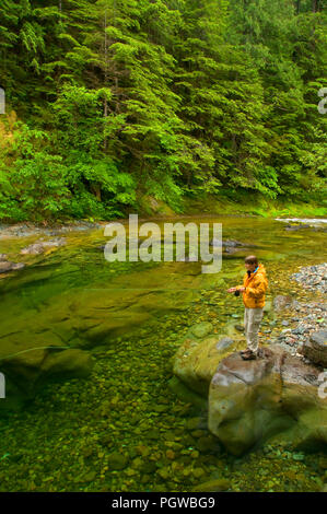 Fliegenfischen auf Quartzville Creek Wild und Scenic River, Quartzville Creek National Back Country Byway, Willamette National Forest, Oregon Stockfoto