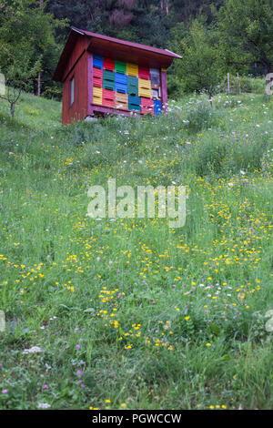 Bunte Bienenstock in einer Wiese voller Blumen Stockfoto