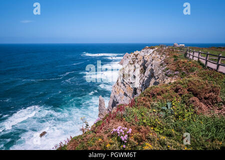 Blühende steilen Küste am Kap Cabo Peñas Gozón,, Costa Verde, Asturien, Spanien Stockfoto
