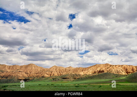 Gelbe Berge von moon Canyon in grün Steppe in Kazakhsthan Stockfoto