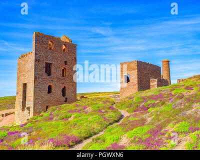 Alte Laune Crushing Mill, Teil der Wheal Coates Mine in der Nähe von St Agnes Kopf, Cornwall, England, Großbritannien, eine der Sehenswürdigkeiten des South West Coast Path. Stockfoto