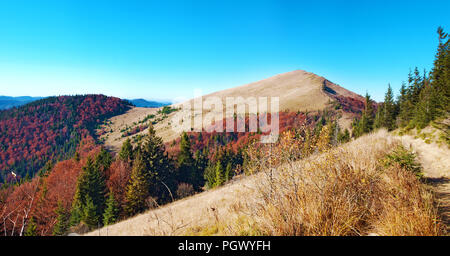 Panorama der Berg Parashka und ein Gebirge in rot, orange und gelb Laubwald bedeckt und grünen Pinien unter blauen, wolkenlosen Himmel auf einer Stockfoto