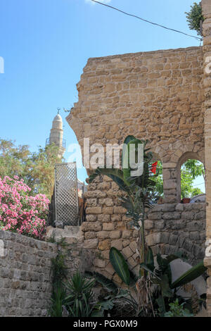 Alte Gebäude in der Altstadt von Jaffa, Tel Aviv, Israel Stockfoto