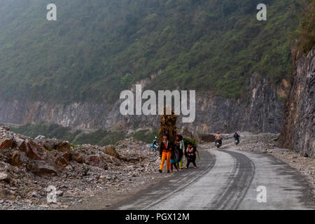 Ha Giang, Vietnam - 17. März 2018: weibliche Arbeitnehmer in der Landwirtschaft den Transport von großen Lasten von Pflanzen auf einer Straße in den Bergen im Norden von Vietnam Stockfoto