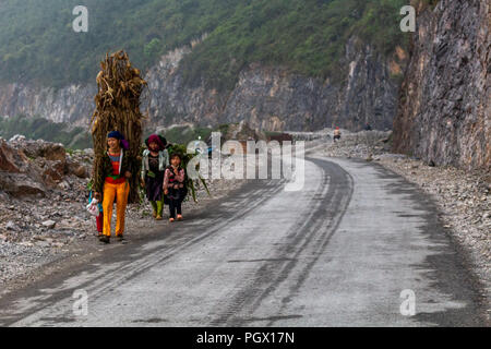 Ha Giang, Vietnam - 17. März 2018: weibliche Arbeitnehmer in der Landwirtschaft den Transport von großen Lasten von Pflanzen auf einer Straße in den Bergen im Norden von Vietnam Stockfoto