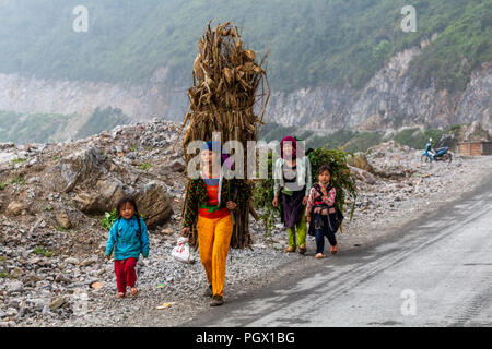 Ha Giang, Vietnam - 17. März 2018: weibliche Arbeitnehmer in der Landwirtschaft den Transport von großen Lasten von Pflanzen auf einer Straße in den Bergen im Norden von Vietnam. Kind Stockfoto