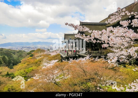 Kiyomizu Bühne mit den Kirschblüten am Kiyomizu-dera Tempel in Kyoto, Japan. Stockfoto