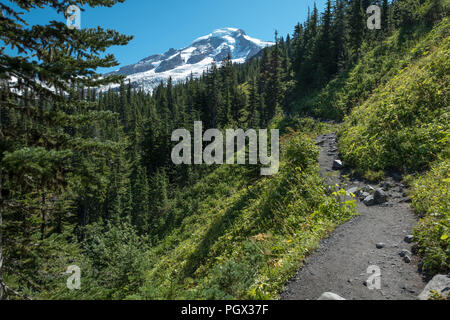 Sehen Sie suchen den Heliotrop Ridge Wanderweg an der Westflanke des Spektakulären des Staates Washington Mount Baker. Weg führt durch schöne für Stockfoto