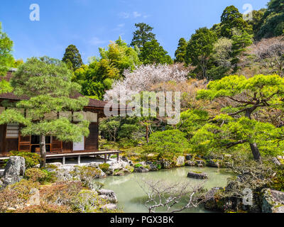 Der japanische Garten mit den Kirschblüten am Ginkaku Ji-Tempel in Kyoto. Stockfoto