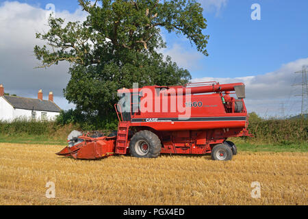 Bei internationalen 1660 Mähdrescher Stockfoto