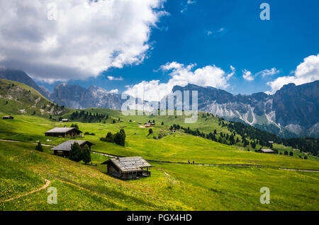 Gruppo delle Geisler, Blick vom Col Raiser. Naturpark Puez-Geisler massiv in Dolomiten, Italien, Südtirol, Alpen, Alto Adige, Val Gardena, Geislergruppe Stockfoto