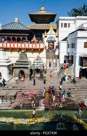 Pashupatinath Tempel, Kathmandu Tal, Bagmati, Nepal, Südafrika Asien: Allgemeine Ansicht des Unesco Weltkulturerbes Tempel von Pashupatinath, dem heiligsten pl Stockfoto