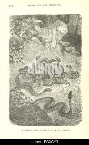 Bild von Seite 244 von 'Mysteries und Elend von der großen Städte, New York, Washington, San Francisco, Salt Lake City und New Orleans... Illustriert mit zahlreichen Gravuren'. Stockfoto