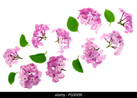 Lila Blumen, Zweige und Blätter auf weißem Hintergrund. Flach. Ansicht von oben Stockfoto