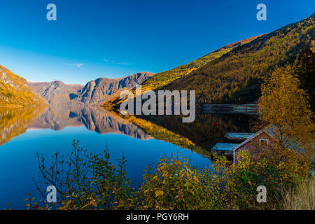 Herbst Farben durch den Aurlandsfjord, Norwegen Stockfoto