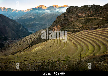 Landwirtschaftlichen Terrassen in Pisa Inka Ruinen im Heiligen Tal in der Nähe von Machu Picchu Stockfoto