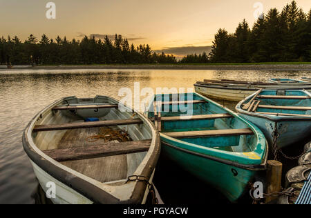 Einige Ruderboote bei beecraigs Loch, beecraigs Country Park, in der Nähe von Linlithgow, West Lothian. Stockfoto