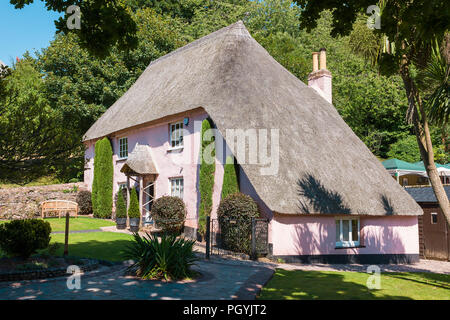 Rose Cottage mit Strohdach im Cockington Village in der Nähe von Torquay Devon England Großbritannien Stockfoto