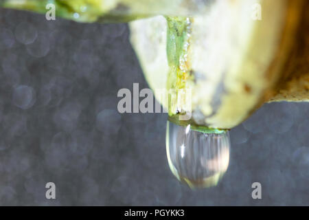 Undichtes Ventil, Scale, Pelz auf die rostigen Leitung. Leckage. Stockfoto