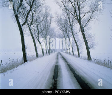 Verschneite Straße Stockfoto