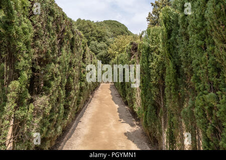 Pfad durch getrimmten Zypressen von Hedge Labyrinth im Labyrinth von Horta. Das Labyrinth hat eine Trapezform ähnlich Minotaurus Labyrinth. Stockfoto