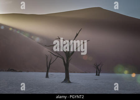 Tote Bäume stehen Wache über Deadvlei im Namib-Naukluft-Nationalpark, Namibia; die Pan hatte einmal Wasser aus der Tsauchab Fluss, sondern eine sich verändernde environm Stockfoto