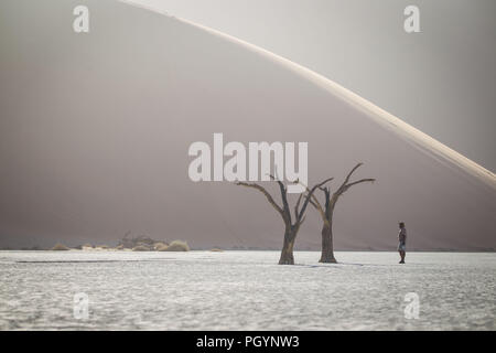 Besucher bewundert, die malerische Landschaft bei Deadvlei, Namib-Naukluft-Nationalpark, Otjozondjupa Region, Namibia. Stockfoto