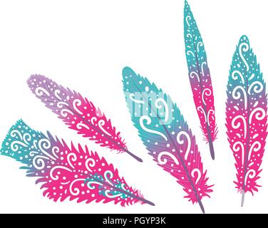 Vektor einrichten Schmuck der Federn auf einem weißen Hintergrund. Stock Vektor