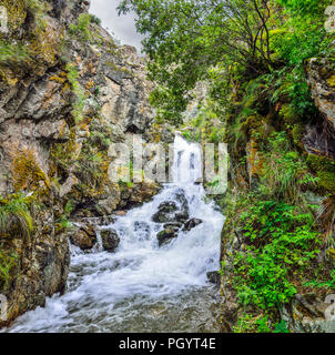 Mountain Creek mit Wasserfall unter Klippen von Canyon unter Felsbrocken in Altai Gebirge fließt, Russland - schöne Sommer Landschaft. Die Schönheit der wilden na Stockfoto