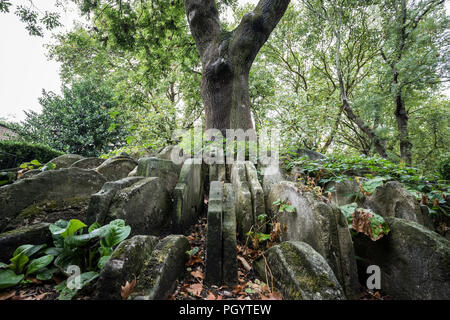 Die Hardy Baum bei St. Pancras Old Church in Somers Town, London, UK. Stockfoto