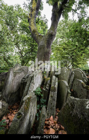 Die Hardy Baum bei St. Pancras Old Church in Somers Town, London, UK. Stockfoto