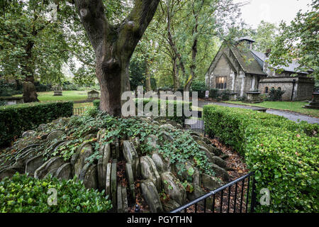 Die Hardy Baum bei St. Pancras Old Church in Somers Town, London, UK. Stockfoto