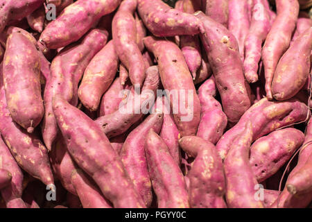 Süßkartoffeln für den Markt angehäuft. Stockfoto