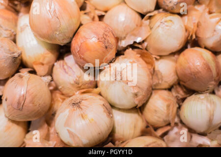 Frische Zwiebeln. Zwiebeln Hintergrund. Reif, Zwiebeln. Zwiebeln im Markt. Stockfoto