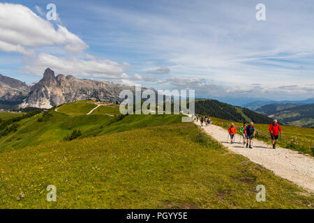 Italien, Südtirol, Trentino, der Piz La Ila Hochplateau in der Nähe von Stern/La Villa, Almwiese, Wanderer, Stockfoto