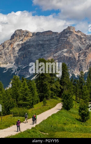 Italien, Südtirol, Trentino, der Piz La Ila Hochplateau in der Nähe von Stern/La Villa, Almwiese, Wanderer, Stockfoto