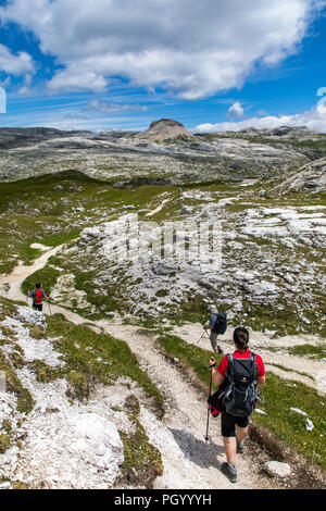 Wanderer im Naturpark Puez-Geisler, Dolomiten, Südtirol, Trentino, Italien Stockfoto