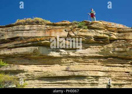 Blick entlang Loop Trail Klippe, ersten Völker Buffalo Jump State Park, Montana Stockfoto