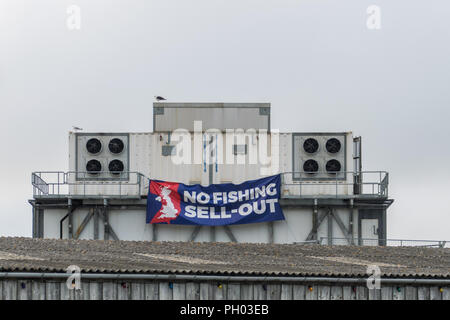 Newlyn, Cornwall, UK. 29 Auigust 2018. Ein Banner wurde errichtet, auf einem der Gebäude in Newlyn Harbour, die über eine große kommerzielle Fischereiflotte, und wo die meisten Fischer wurden zugunsten von Brexit. Foto: Simon Maycock/Alamy leben Nachrichten Stockfoto