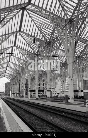 Oriente Bahnhof in Lissabon. Schwarzweiß-Fotografie. Calatrava gestaltete Gebäude Struktur Stockfoto