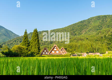 Historische Dörfer von Shirakawa-g und Gokayama, Shirakawa-mura, Gifu-ken, Japan, Asien, Ostasien Stockfoto