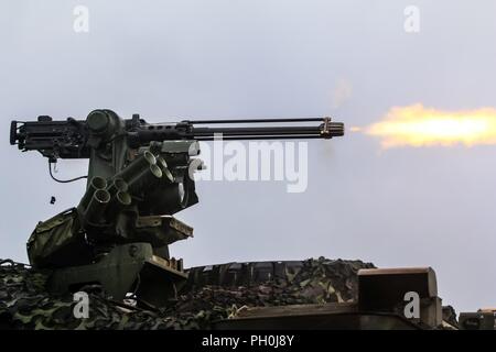 Ein 50-cal M2 machine gun Brände von der Oberseite der Tryker ein Zwischenbericht der gepanzerten Fahrzeug" mit der 1. Staffel, 2. Kavallerie Regiments, während eine multinationale Schulungsveranstaltung für übung Puma 2 mit Battle Group Polen Bemowo Piskie, Polen am 14. Juni 2018 im Rahmen der Sabre Streik 18. Die diesjährige Übung, die läuft von Juni 3-15, tests Verbündete und Partner aus 19 Ländern auf ihrer Fähigkeit, arbeiten zusammen, um die Aggression in der Region zu verhindern und die Fähigkeit der einzelnen Einheit ihre benannten Mission durchführen zu verbessern. Stockfoto