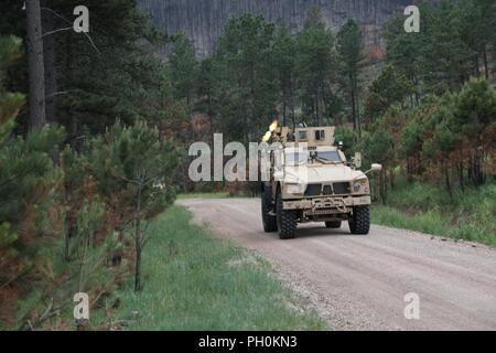 Us-Soldaten des 731St Transport Unternehmen, Kansas Army National Guard, zurück Brand während einer Messe Unfallversicherung Schulungsveranstaltung zur Unterstützung der Goldenen Coyote, Custer State Park, S.D., 16. Juni 2018. Die goldenen Coyote Übung ist eine dreiphasige, Szenario-driven Übung in den Black Hills von South Dakota und Wyoming, mit dem Kommandanten auf der Mission wesentliche Anforderungen der Aufgabe, Krieger Aufgaben und Übungen zu konzentrieren. Stockfoto