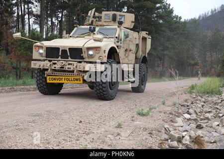 Us-Soldaten des 731St Transport Unternehmen, Kansas Army National Guard, zurück Brand während einer Messe Unfallversicherung Schulungsveranstaltung zur Unterstützung der Goldenen Coyote, Custer State Park, S.D., 16. Juni 2018. Die goldenen Coyote Übung ist eine dreiphasige, Szenario-driven Übung in den Black Hills von South Dakota und Wyoming, mit dem Kommandanten auf der Mission wesentliche Anforderungen der Aufgabe, Krieger Aufgaben und Übungen zu konzentrieren. Stockfoto