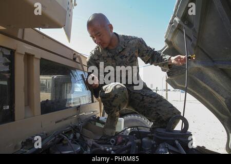 Cpl. Jin W. Kang, ein Motor Transport Operator mit Hauptsitz Unternehmen, 23 Marine Regiment, 4 Marine Division, in San Bruno, Kalifornien, führt die Wartung der Fahrzeuge während der integrierte Ausbildung Übung 4-18 bei Marine Corps Air Ground Combat Center Twentynine Palms, Kalifornien, am 17. Juni 2018. ITX ist ein Service Level Training Veranstaltungen, die darauf abzielt, Einheiten für den Kampf vorzubereiten, unter möglichst realistischen Bedingungen möglich. Stockfoto