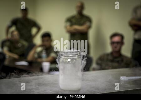 Us-Marines mit chemischen, biologischen, radiologischen und nuklearen (CBRN) Platoon, zentrale Bataillon, 1st Marine Division, flüssigem Stickstoff evaporte beobachten, während das Konzept der realen Welt CBRN-Kurs an der Guardian Zentren in Perry, Georgia, 18. Juni 2018. Diese Schulung wurde durchgeführt, um zu verbessern und das Verhalten der sensiblen Ort Ausbeutung, die Entscheidungsfindung der Commander unterstützt und pflegt die Dynamik während der Kampfhandlungen zu verfeinern. Stockfoto