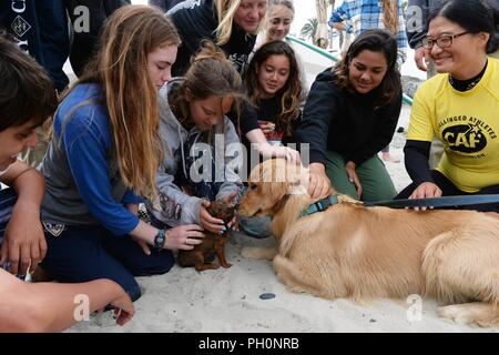 DEL MAR, Kalifornien (14. Juni 2018) Therapie Hunde Feuerwehrmann Ting Du unterhalten, ein Patient von Naval Medical Center San Diego (NMCSD) Surf Klinik, rechts, und besuchen die Schüler von der Brandung Akademie in Santa Monica. Der Tag markiert auch 10. Jahrestag NMCSD's Surf Klinik Feier. Die Surf Klinik ist ein ganzheitlicher Ansatz für die Sanierung, und es nutzen, um die verletzten Krieger und Patienten körperlich, emotional und sozial. Stockfoto