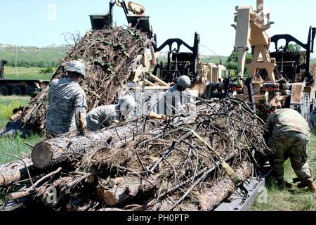 Soldaten aus der 137 Transport Unternehmen, Kansas Army National Guard, Riemen für eine Ladung von Holz bei Red Shirt, S.D., 15. Juni 2018 lösen. Die M1057 A1 Auf Paletten laden System führt das Holz von Custer, S.D., Native American Reservierungen während der jährlichen Holz schleppen Betrieb als Teil des Goldenen Coyote Training. Stockfoto